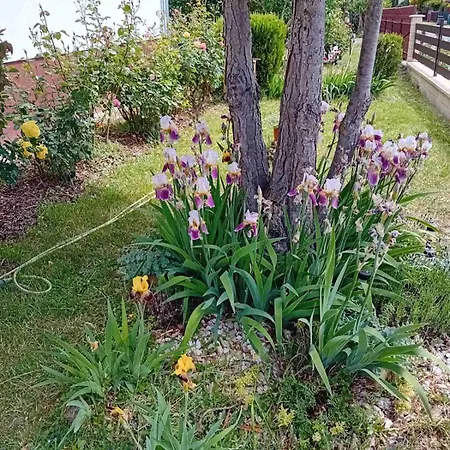 Dom wakacyjny Zamor Nyaralo