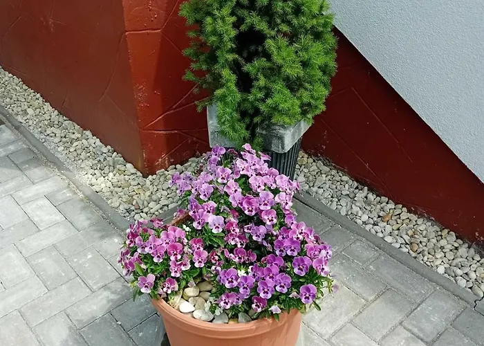 Zamor Nyaralo Holiday home *